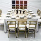 Plants: image 1 0f 4 thumb