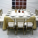 Plants: image 1 0f 4 thumb