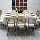 Plants: image 1 0f 4 thumb