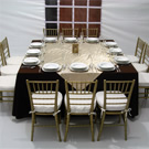 Plants: image 1 0f 4 thumb