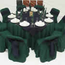 Plants: image 1 0f 4 thumb