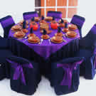 Plants: image 1 0f 4 thumb