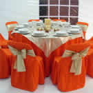 Plants: image 1 0f 4 thumb