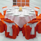 Plants: image 1 0f 4 thumb