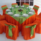 Plants: image 1 0f 4 thumb