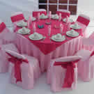 Plants: image 1 0f 4 thumb