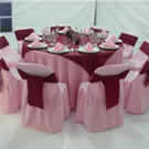 Plants: image 1 0f 4 thumb