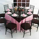 Plants: image 1 0f 4 thumb