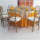 Plants: image 1 0f 4 thumb