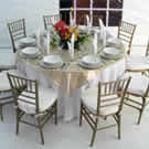 Plants: image 1 0f 4 thumb