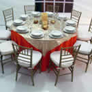 Plants: image 1 0f 4 thumb