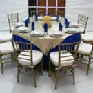 Plants: image 1 0f 4 thumb