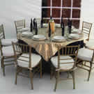 Plants: image 1 0f 4 thumb