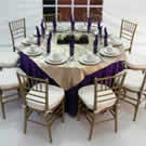 Plants: image 1 0f 4 thumb