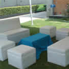 Plants: image 1 0f 4 thumb