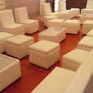 Plants: image 1 0f 4 thumb