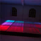 Plants: image 1 0f 4 thumb